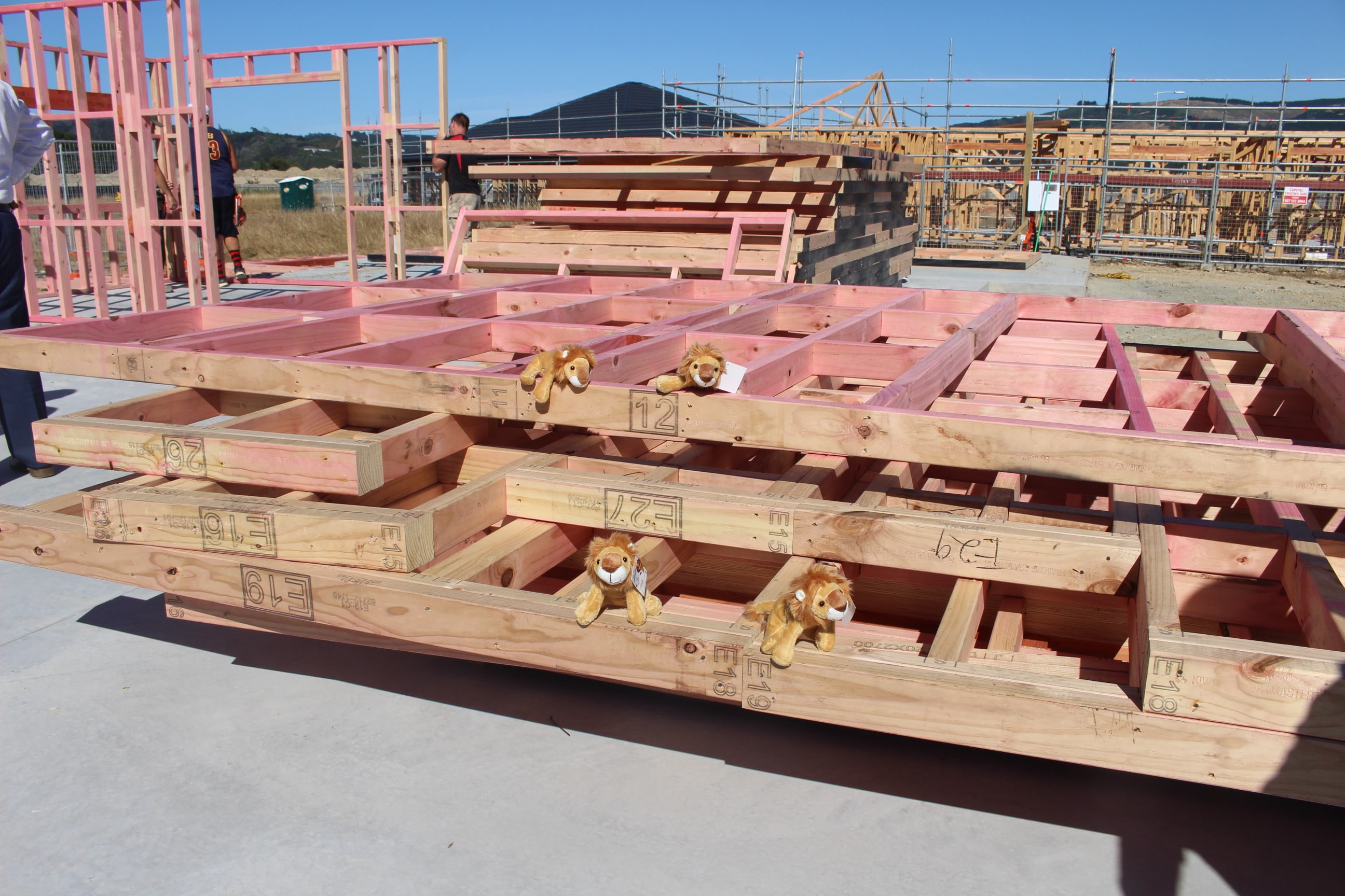 Hospi checking out the site!