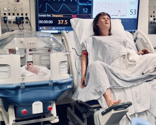Mother and baby medical simulators