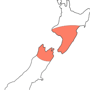 Map of New Zealand, showing Wellington Hospitals Foundation catchment area.