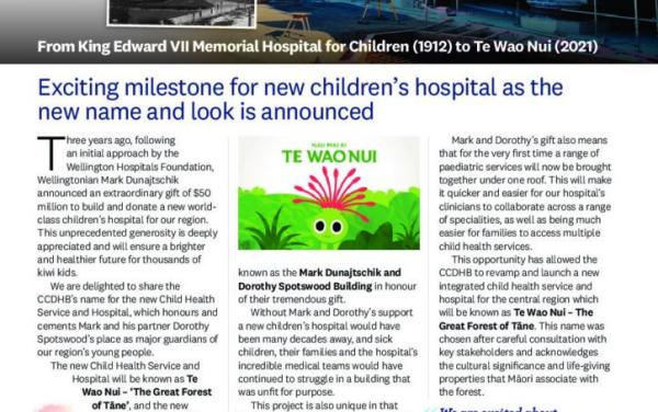 Screenshot of the Newsletter