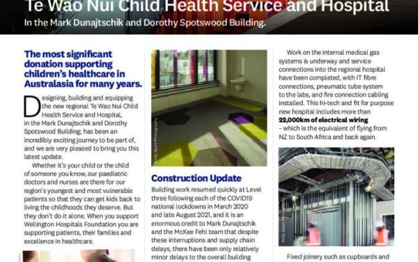 Screenshot of the Newsletter