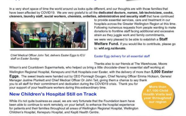 Screenshot of the Newsletter