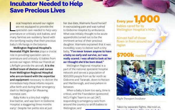 Screenshot of the Newsletter