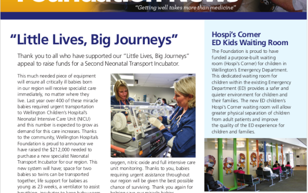 Screenshot of the Newsletter