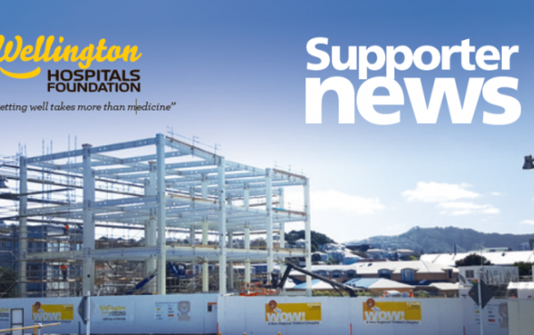 Screenshot of the Newsletter